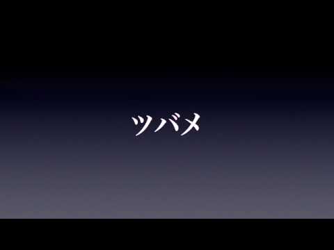 ツバメ/YOASOBI withミドリーズ　歌ってみた　ウクレレ　ドラム