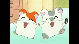 Hamtaro (Toonami First Promo) HD