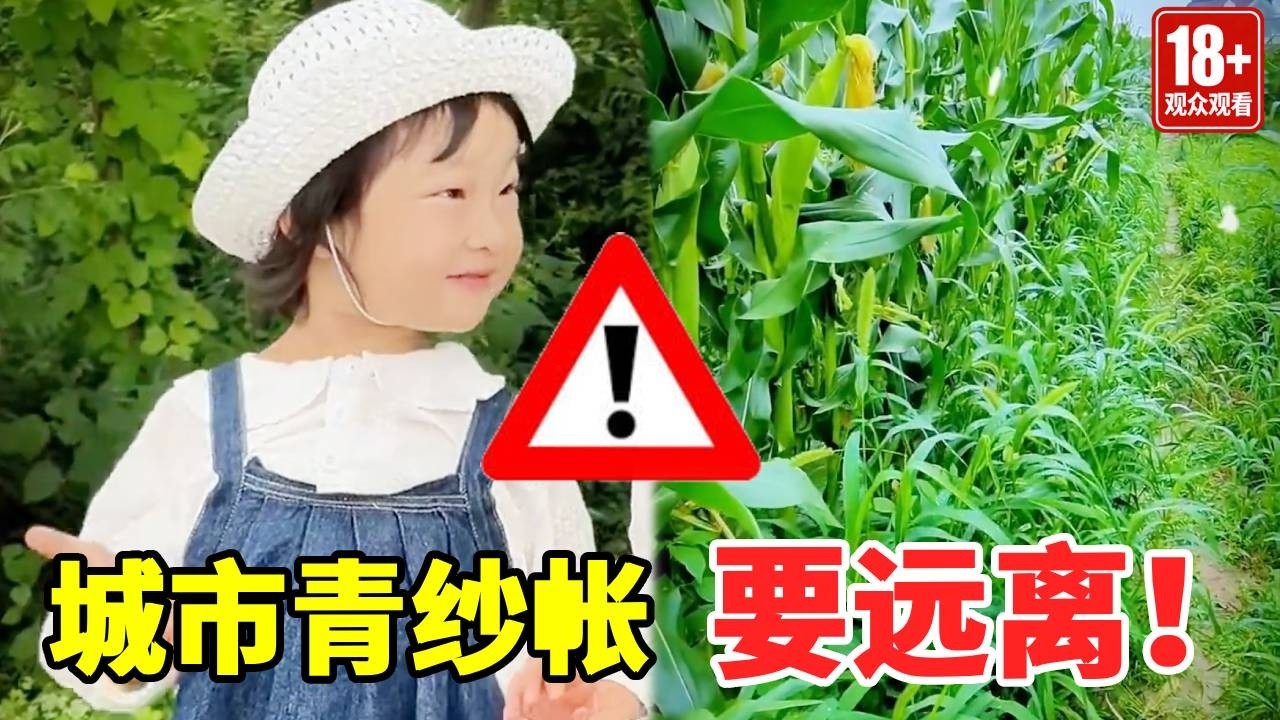 远离青纱帐！这些地方不能随便去，当心出现大问题！#萌娃#安全#正能量#安全知识【大钱小钱双胞胎姐妹】