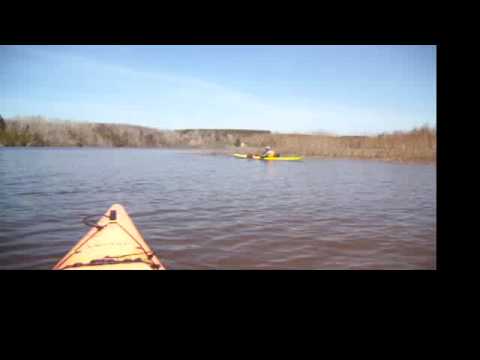 Les outardes du printemps sur la rivire Ste-Anne (...