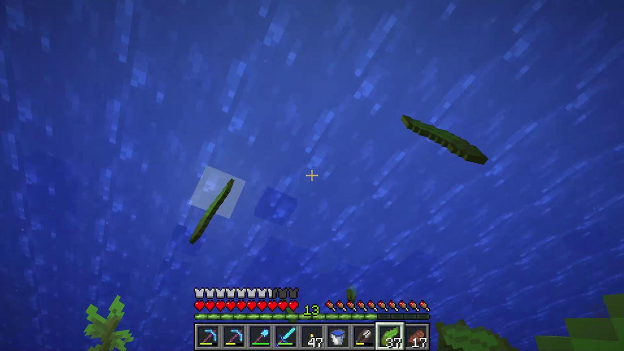 How To Get Kelp Minecraft Youtube How To Get Kelp Minecraft Youtube