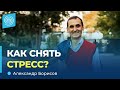 Как бороться со стрессом? Александр Борисов