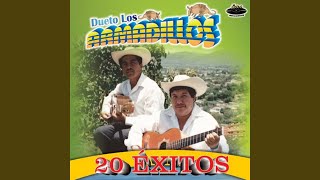 Video thumbnail of "Dueto los Armadillos - Luisa"