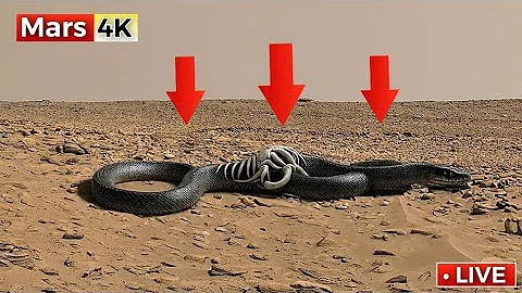 Perseverance Rover Footage | NASA Mars Rover Send Incredible Footage of Mars SOL 1518 | Mars In 4K