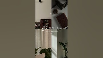 ماتيسر من سورة المائدة || تلاوة للقارئ سعد الغامدي 🤍🌿