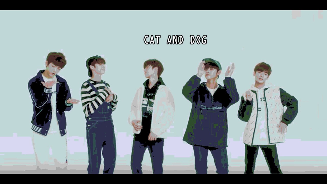 TXT Cat and Dog English Version Lyric Video