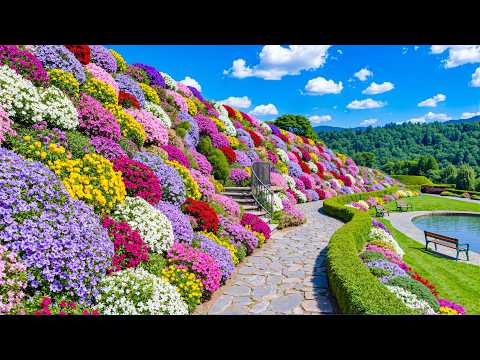 Most Beautiful Garden Walk 2026 🌿 Relaxing Flower Landscapes That Feel Unreal