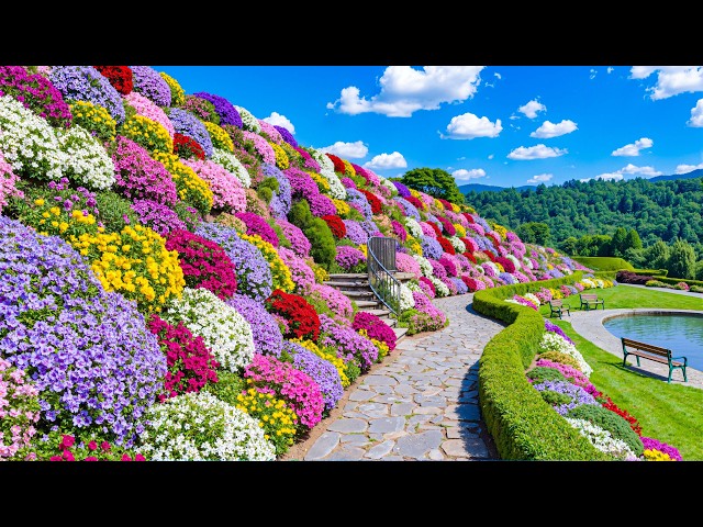 ドイリー1183❤️草原のflower garden✨特大77×43cm Most Beautiful Garden Walk 2026 🌿 Relaxing Flower Landscapes That