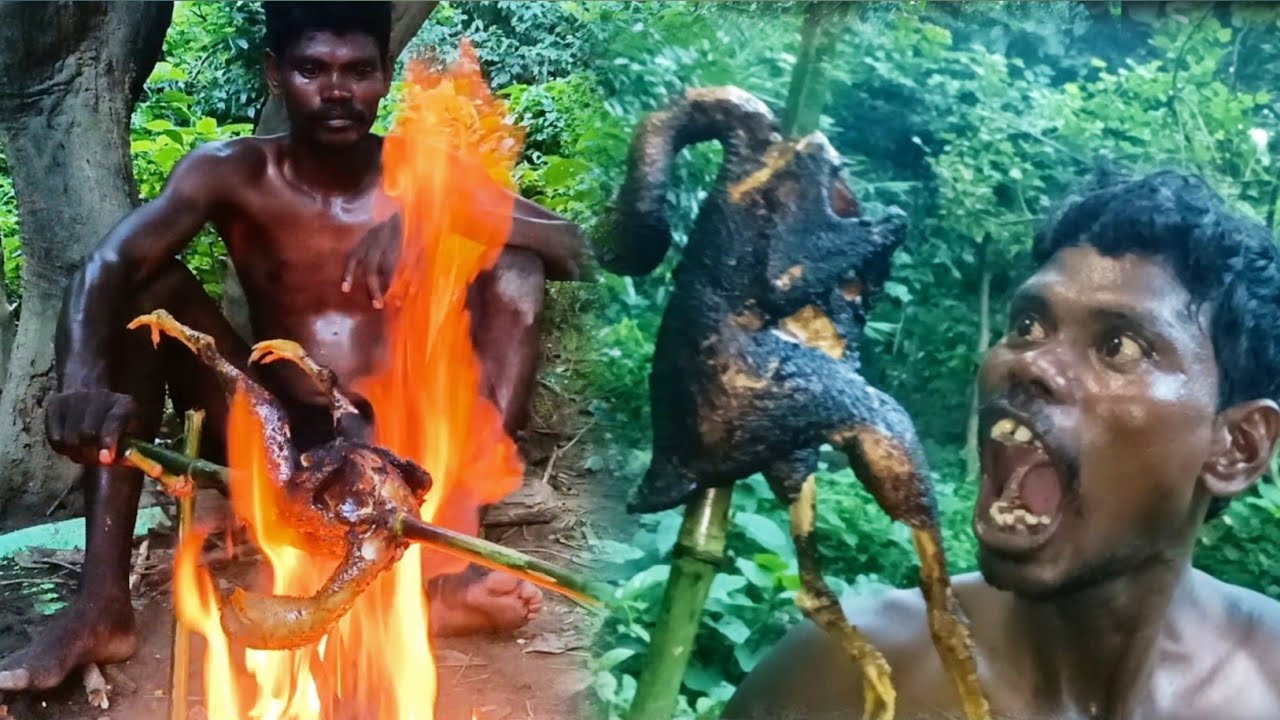 Hunting Wild Chicken Then Cooking Tow || How to hunt and cook a Jungle chicken || Jungle Boy