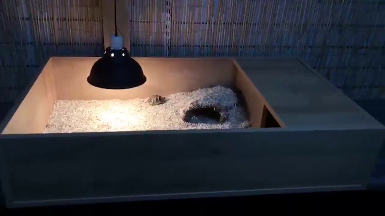 OUR Budget Tortoise Table set up Kit