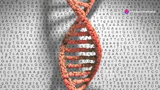 Decoding Genetics  From Genes to Genomes