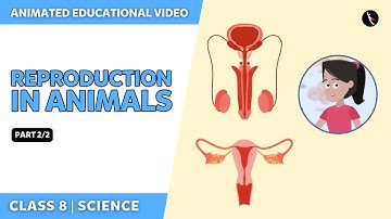 Reproduction In Animals | NCERT Science Class 8 Chapter 9 | Part 2/2 | English | Class 8