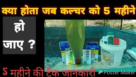 5 months update of Biofloc tank | jaikumar nagpur | Biofloc practical learning .