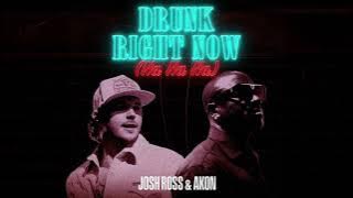 Josh Ross & Akon - Drunk Right Now (Na Na Na) (Official Visualizer)