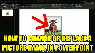 HOW TO CHANGE OR REPLACE A PICTURE IMAGE IN POWERPOINT