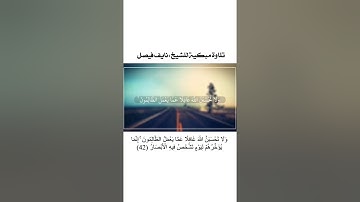 القرآن الكريم || تلاوة مبكية للشيخ :نايف فيصل ||حالات واتس اب دينية ||ستوريات انستا دينية 💙 ||