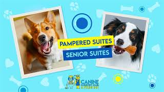 Canine Country Club & Feline Inn Pet Boarding