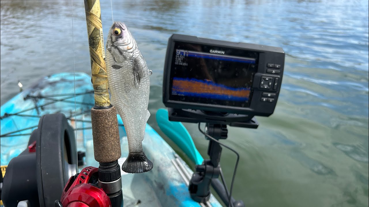 Zman Shadtron B.A.S.S. Fishing spawn Row Fish Go is live!