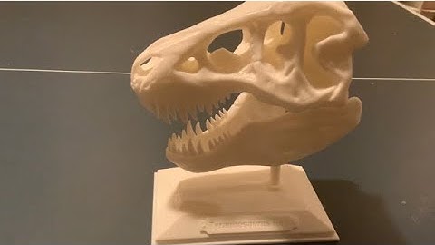 3D Printed Makerbot T-Rex Skull!!!