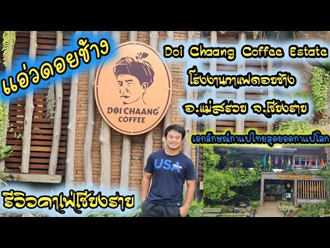 Doi Chaang Coffee Estate – โรงงานกาแฟดอยช้าง จ.เชียงราย #เอกลักษณ์กาแฟไทยสุดยอดกาแฟโลก | เนื้อหาที่เกี่ยวข้องกาแฟ ดอย ช้าง ราคาที่มีรายละเอียดมากที่สุดทั้งหมด