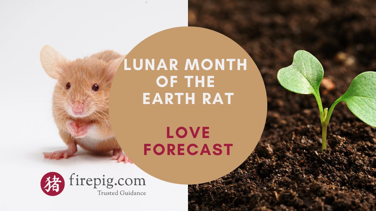 2020 Lunar Month of the Earth Rat Love Forecast