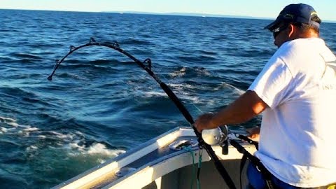 How the Premiere Prince Edward Island Tuna Fishery Was Born