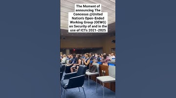 Stellar Leadership inUnited Nation