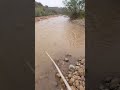 الصيد في الماء السريع السباحة Ramadan Chasse الصيد Swimming 