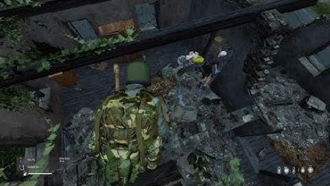 DayZ server restart double