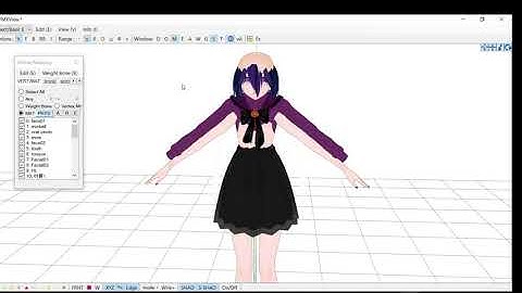 [TUTORIAL] How to make a MMD model [PMX Editor]