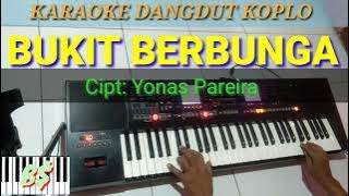BUKIT BERBUNGA - KARAOKE DANGDUT KOPLO