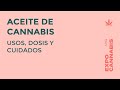 Dra. María Celeste ROMERO | ACEITE DE CANNABIS: usos, dosis y cuidados - Expo Cannabis 2019