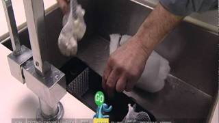 An important part to every aquarium, a must see.