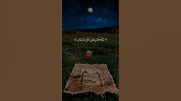 #محمد_صديق_المنشاوي #المنشاوي #تلاوات #القرآن_الكريم #quran #تلاوة #قرآن #القرآن #تلاوة_خاشعة #آيات