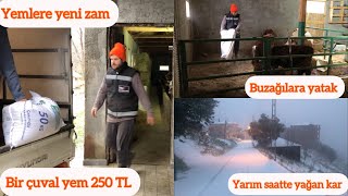 Yem ve saman geldi/Bir çuval yem 250 TL/Trabzon yoğun kar yağışı