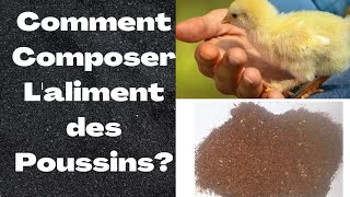Quel sable pour les poussins ?