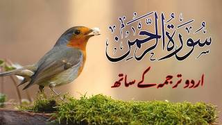 Surah Rahman with Urdu Translation | Beautiful Quran Tilawat by Qari Abdul Basit | سورۃ الرح | 183