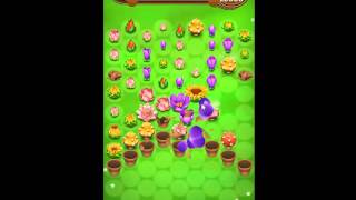 Blossom Blast Saga   Level 291 No Boosters