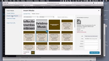 Wordpress Audio Playlist