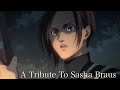 [A Tribute To Sasha Braus]