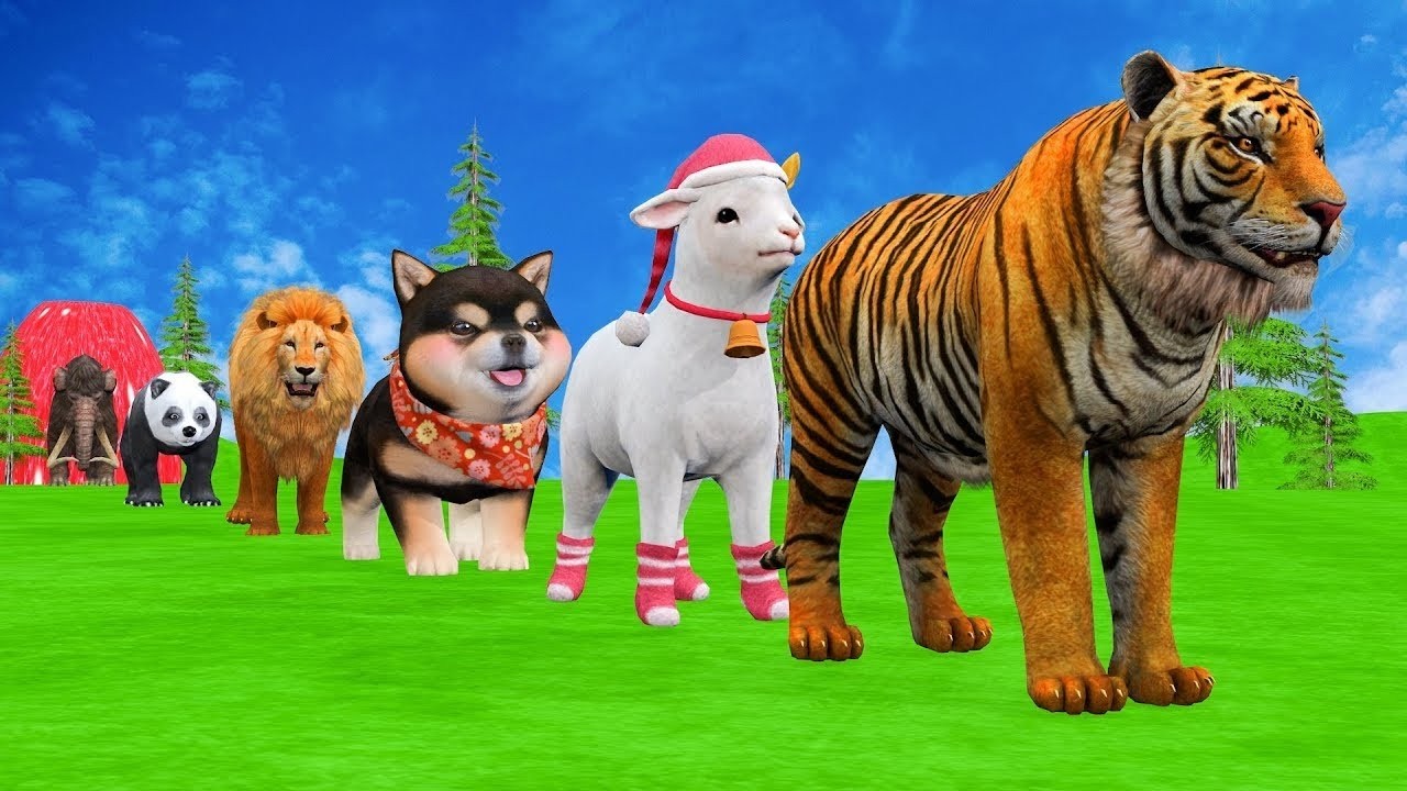 Long Slide Game With Elephant Gorilla Buffalo Hippopotamus Tiger - 3d Animal Game - Funny 3d Animals