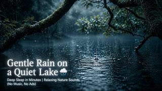 Rain on a Quiet Forest Lake 🌧️ | Deep Sleep ASMR, Relaxing Nature Sounds | ASMR Fast  Deep Asleep