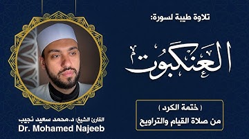 29| سورة العنكبوت | مصحف القارئ د. محمد نجيب