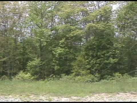 Kentucky's highest point, Black Mountain