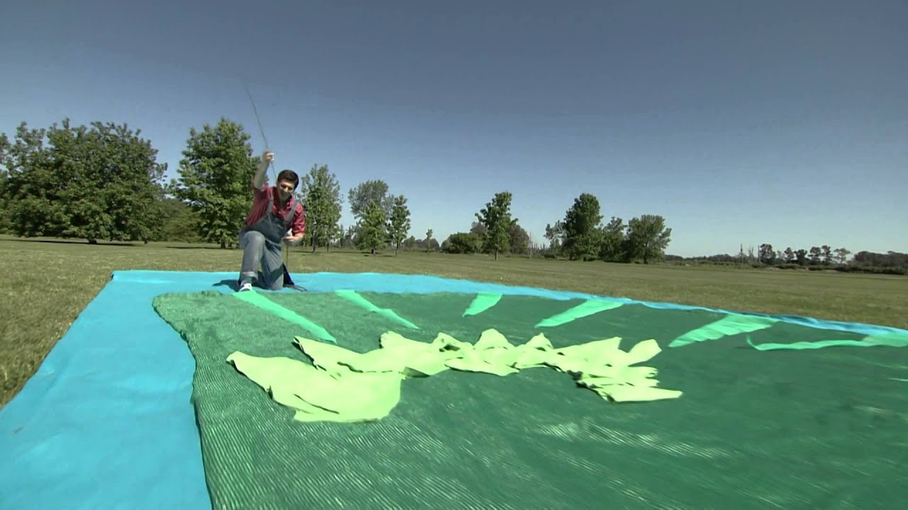 Art Attack - Big Art : Paon - Sur Disney Junior - VF