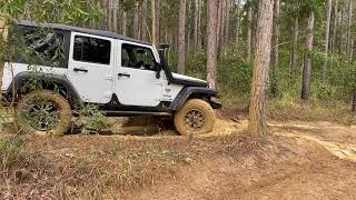Warn VR EVO 10-S Winch Jeep out of mud!!