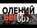 СБУ: Олений бег - Амплитуда бедер в беге - Развитие техники бега