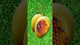 Mango Asmr 2D Relaxing Sounds Asmr Sounds