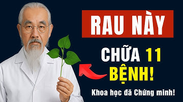 11 Căn Bệnh BIẾN MẤT Nhờ Rau Diếp Cá – Khoa học đã Chứng minh!