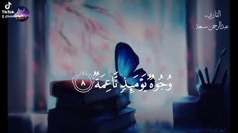 || أجمل حالات واتس اب دينيه 🕊 || تلاوة خاشعة ☁️🌿 بصوت عالم ثاني القارئ عبد الرحمن مسعد 🤍✨